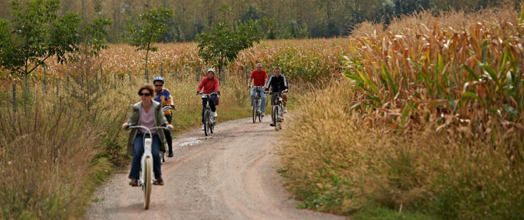 Photo de cyclistes traversant les champs de maïs - représente la plaine céréalière