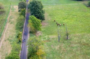 Mise en oeuvre du schéma directeur cyclable de la CCPR